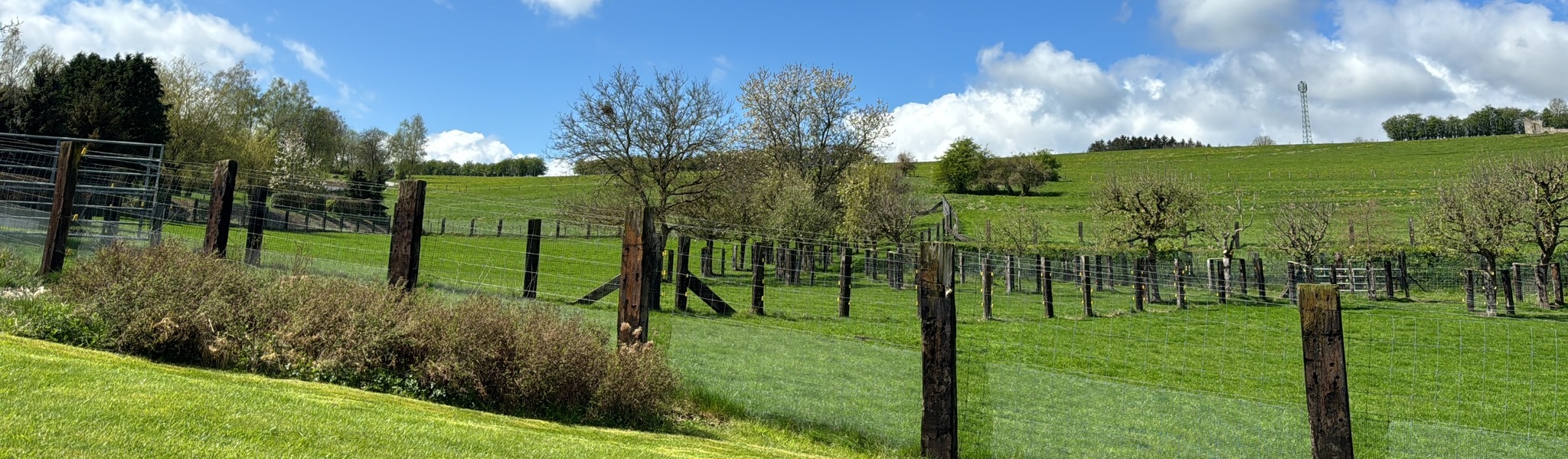 Beschikbaarheid vakantiehuis Achouffe
